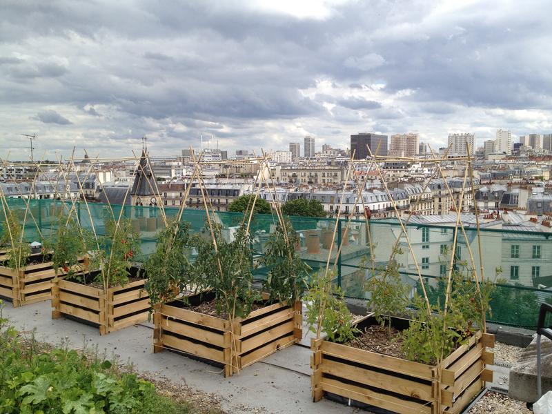 In pictures: the many faces of urban agriculture - lab recherche ...